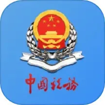 新疆税务下载app