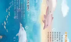 海豚绘本阅读内容简介