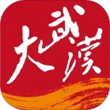 大武汉官方版下载