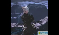 ff14日猫和月猫哪个好看