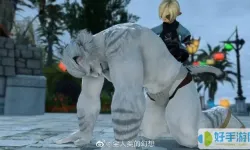 ff14天马双人坐骑