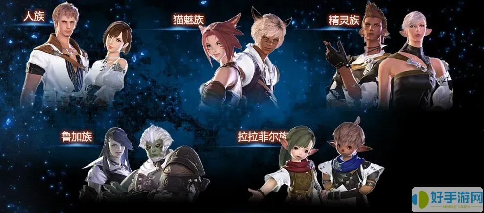 ff14战士玩什么种族