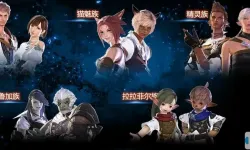 ff14种族比例最新