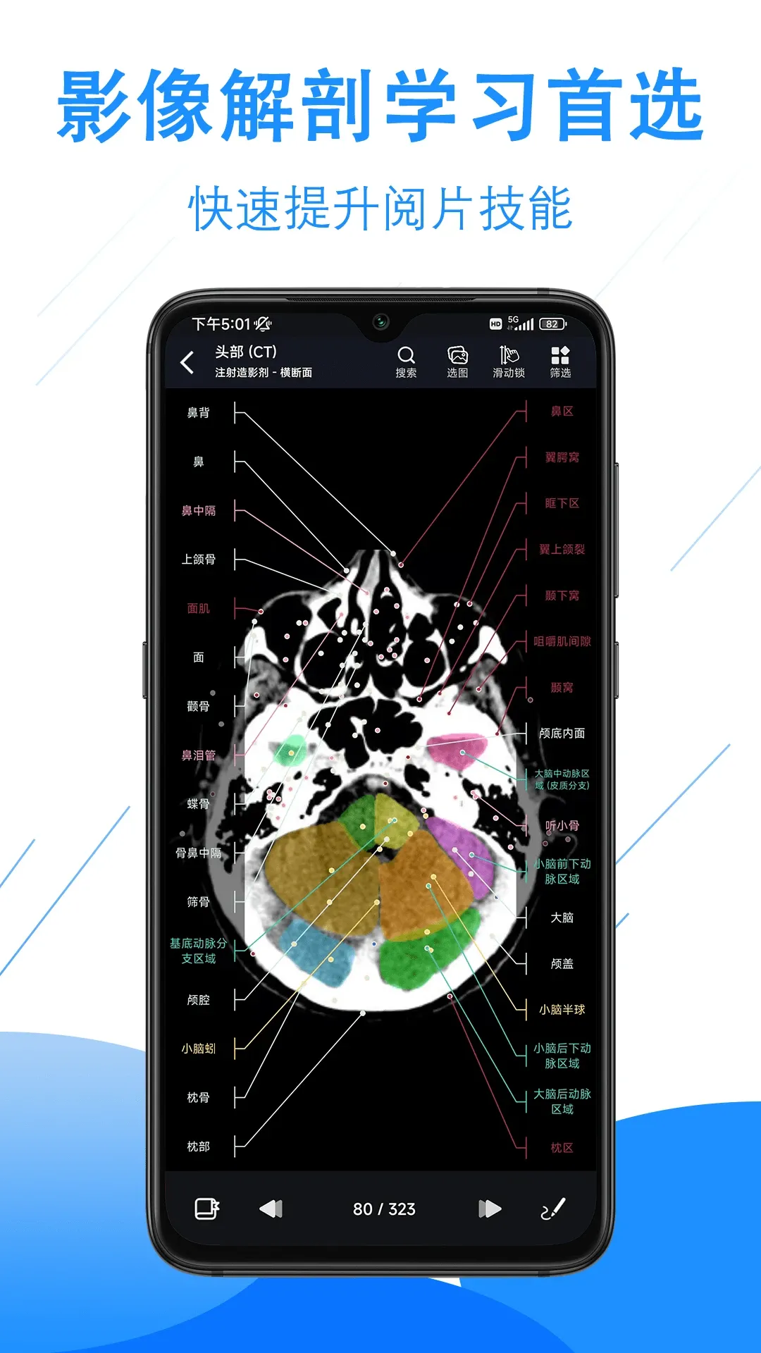 影像解剖图谱app最新版