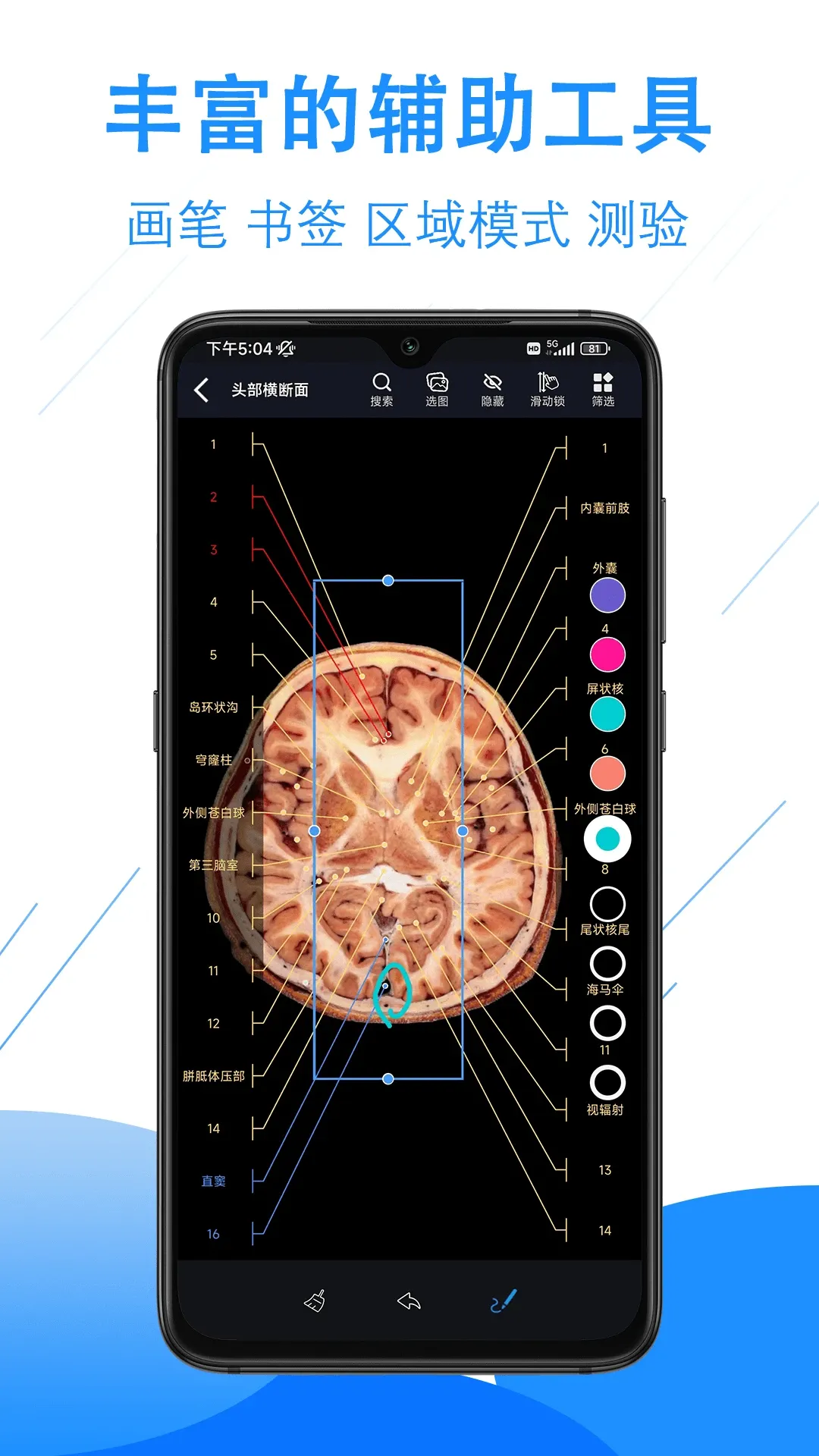 影像解剖图谱app最新版