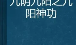 笑傲江湖九阴九阳神功