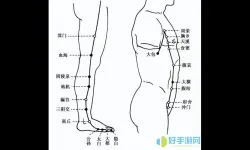 九阴真经外功输出经脉