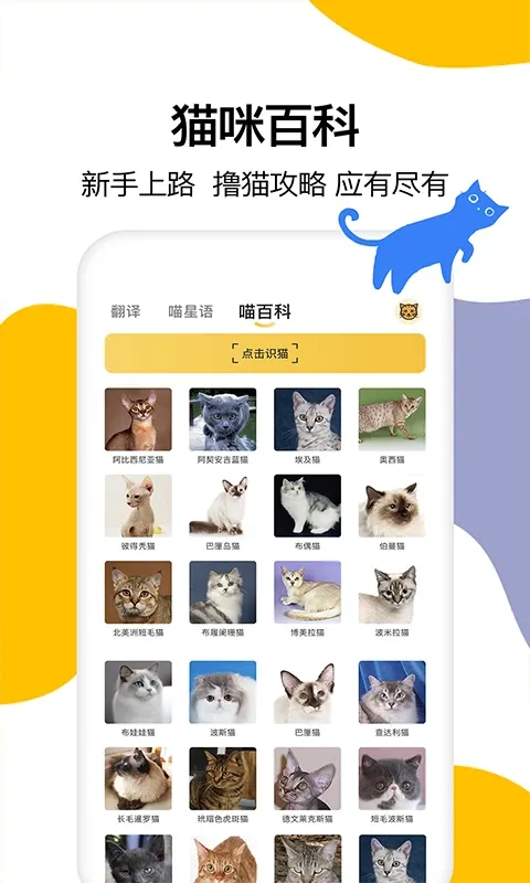 猫语翻译官网版最新