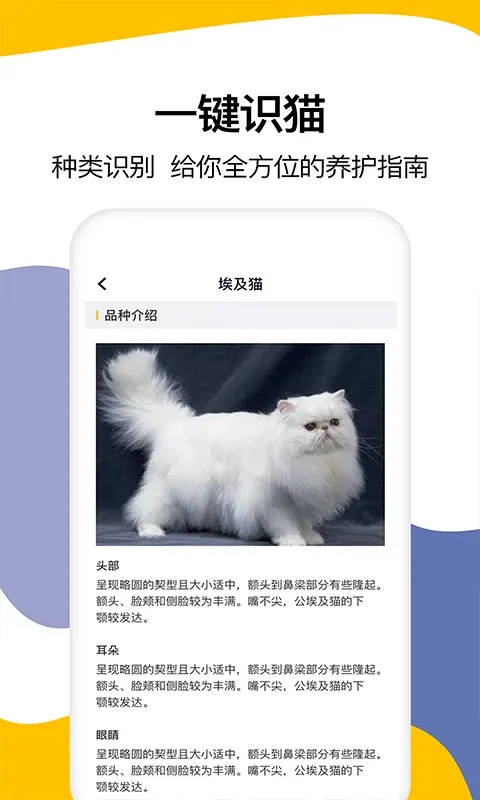 猫语翻译官网版最新