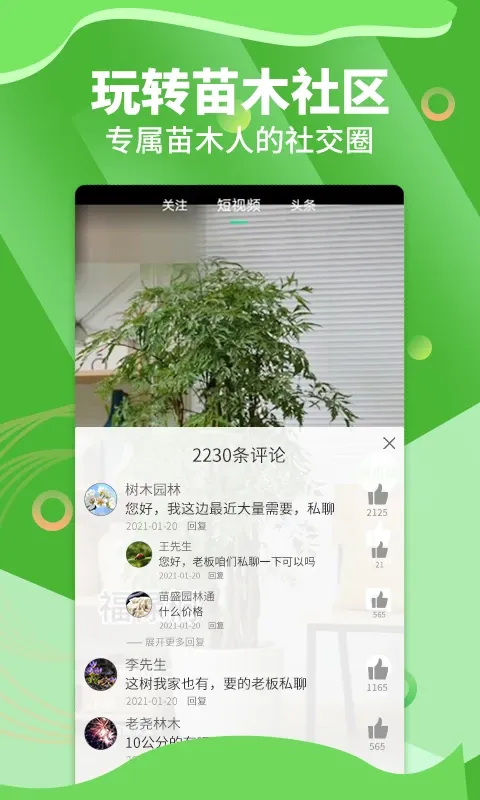 苗木通下载最新版