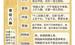 九阴真经经脉对比