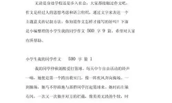 同学把我带回家做那个作文500字