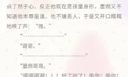 二哈和他的白猫师尊小说未删减在线阅读