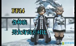 ff14选什么种族好