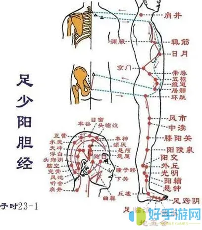 九阴真经  开什么经脉