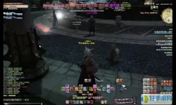 ff14豆豆柴大区人多吗