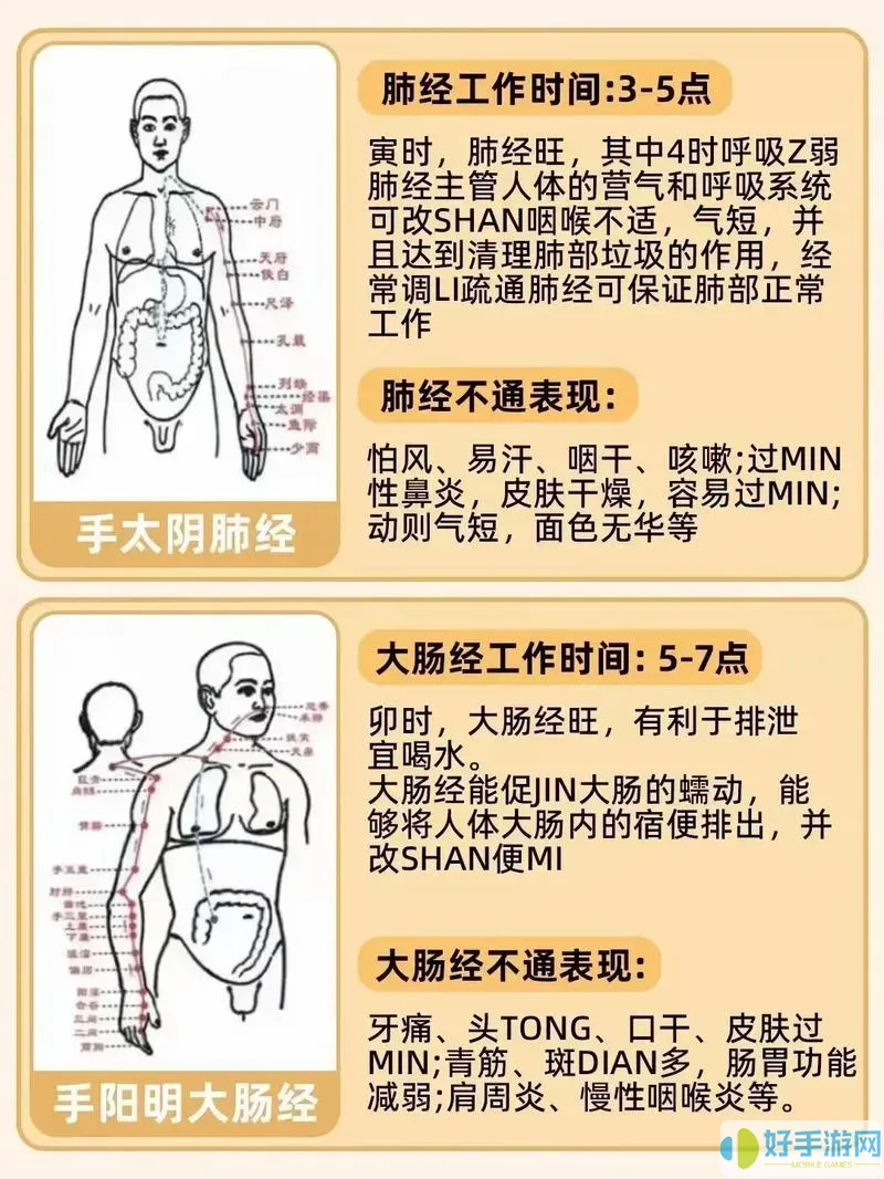 九阴真经双脉是什么意思