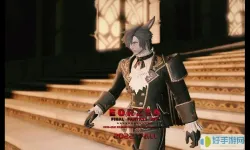 ff14赤魔的守护神