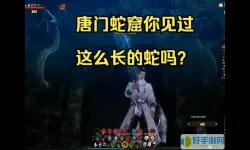 九阴真经唐门闪避